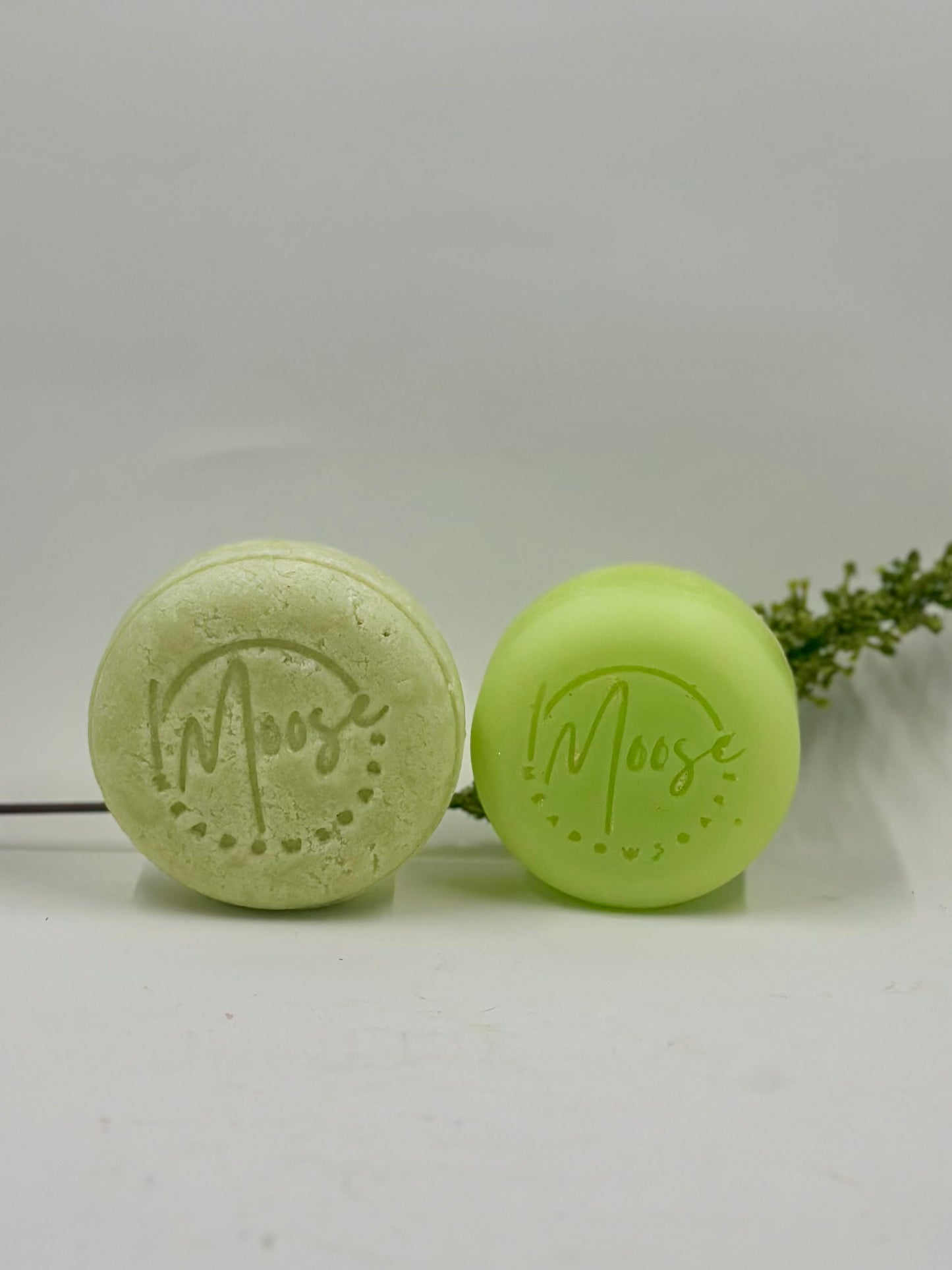 Shampoo Bars