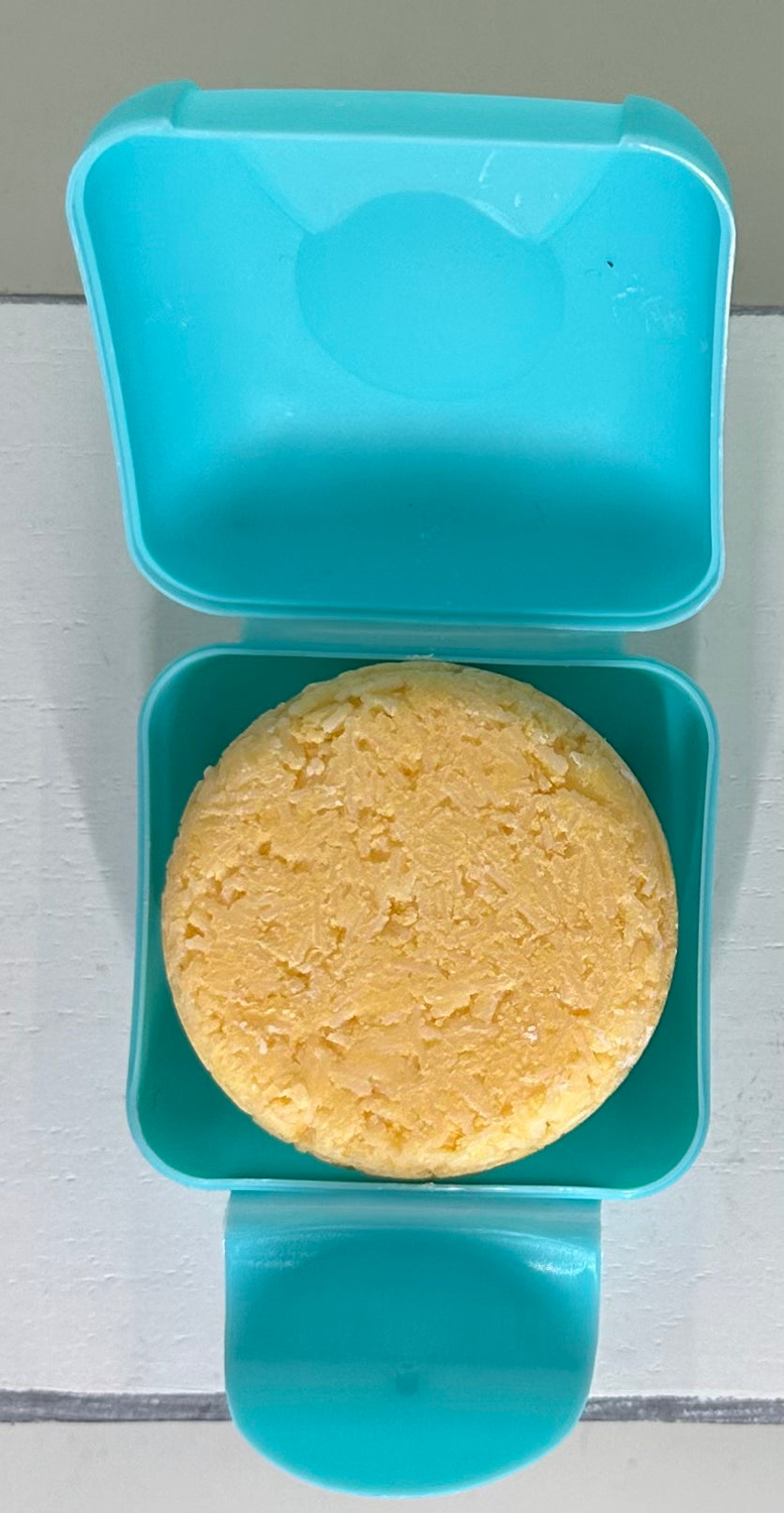 Shampoo and conditioner, bar travel cases