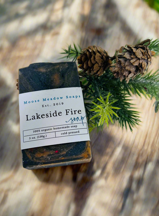 Lakeside Fire