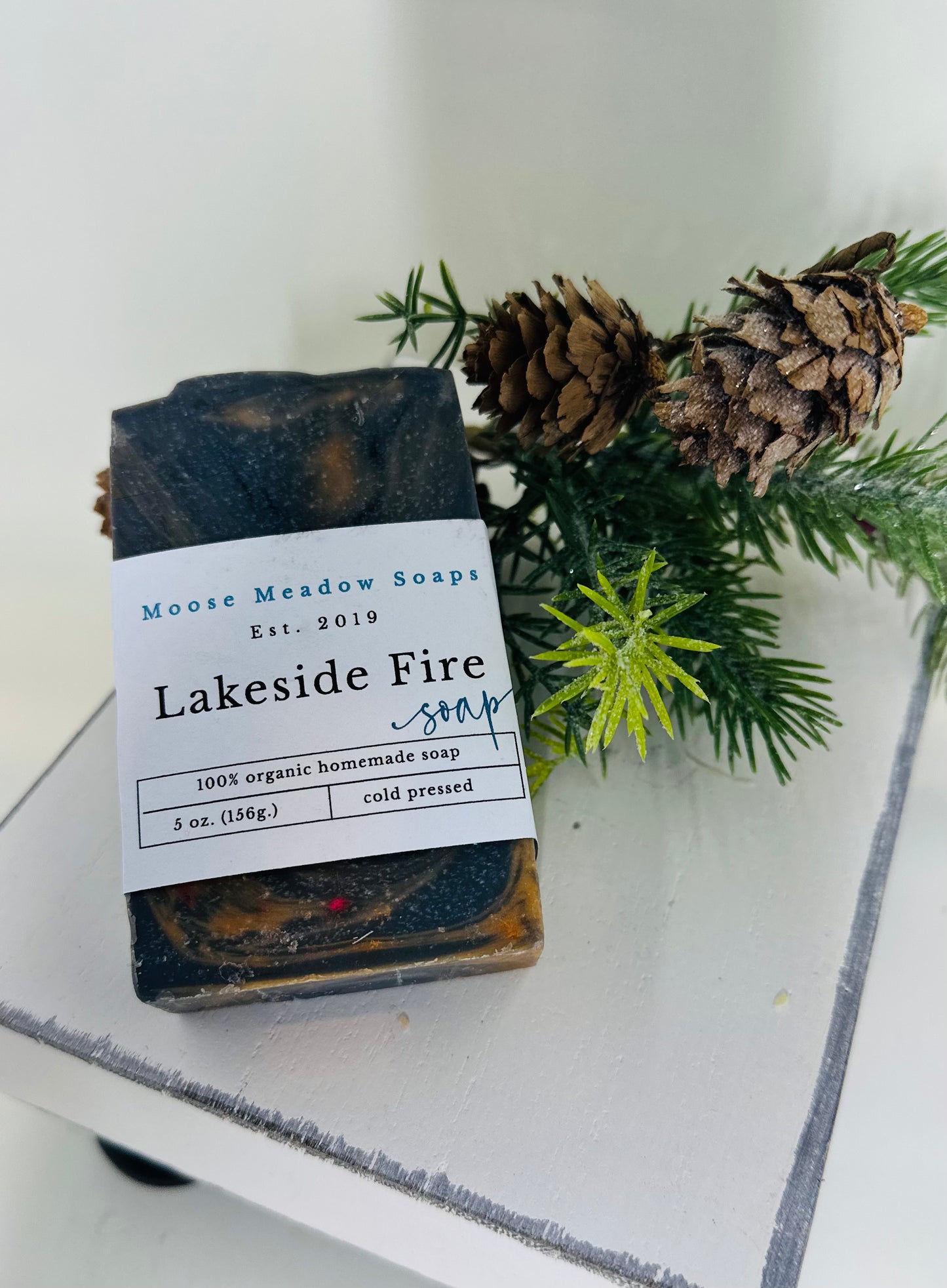 Lakeside Fire