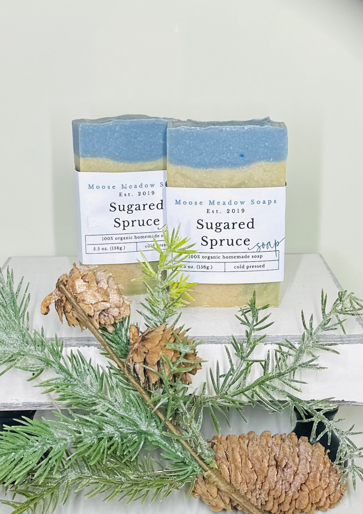 Sugared Spruce